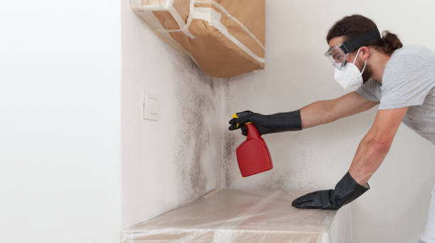 Professional Crawl Space Mold Remediation technician working in Carle Place, NY